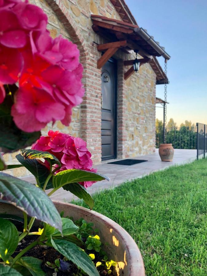 Agriturismo I Colli 몬타이오네 외부 사진