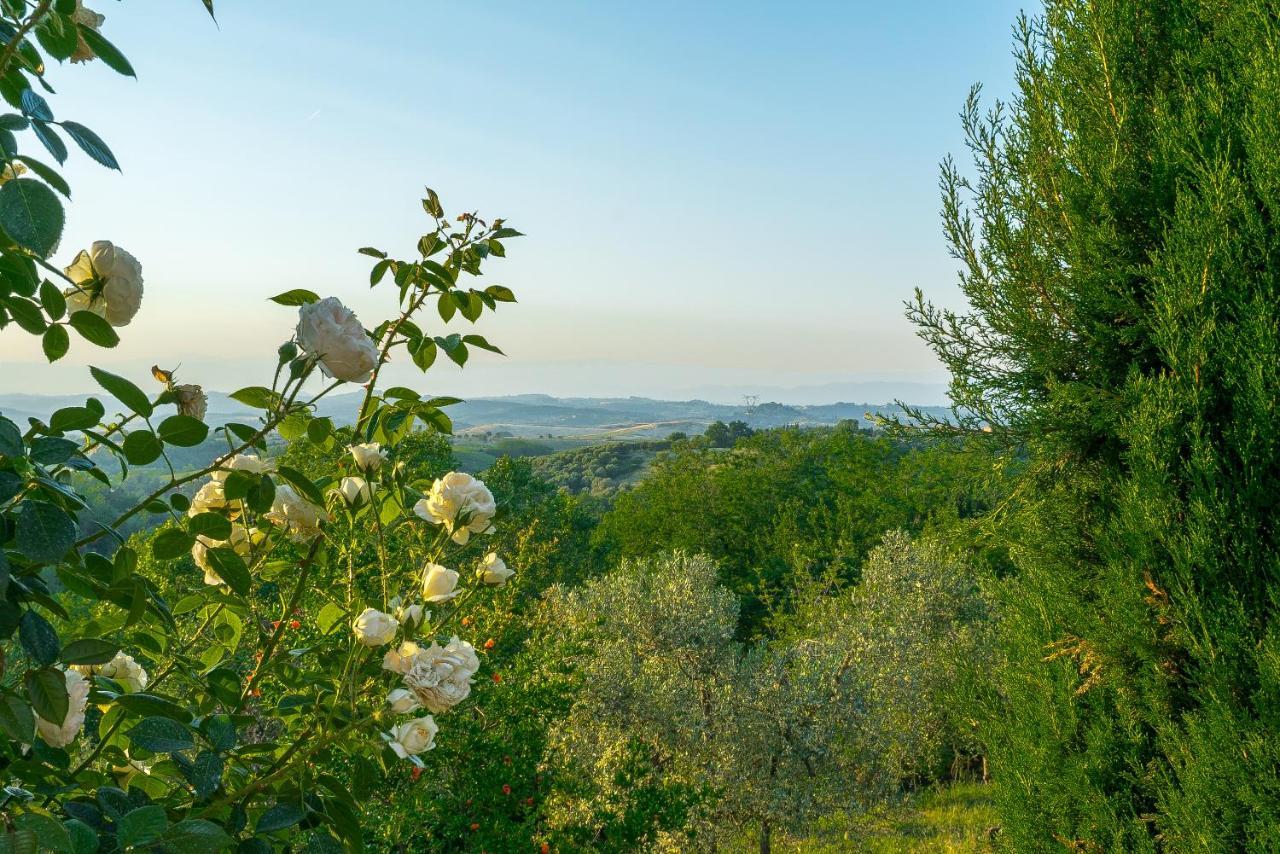Agriturismo I Colli 몬타이오네 외부 사진
