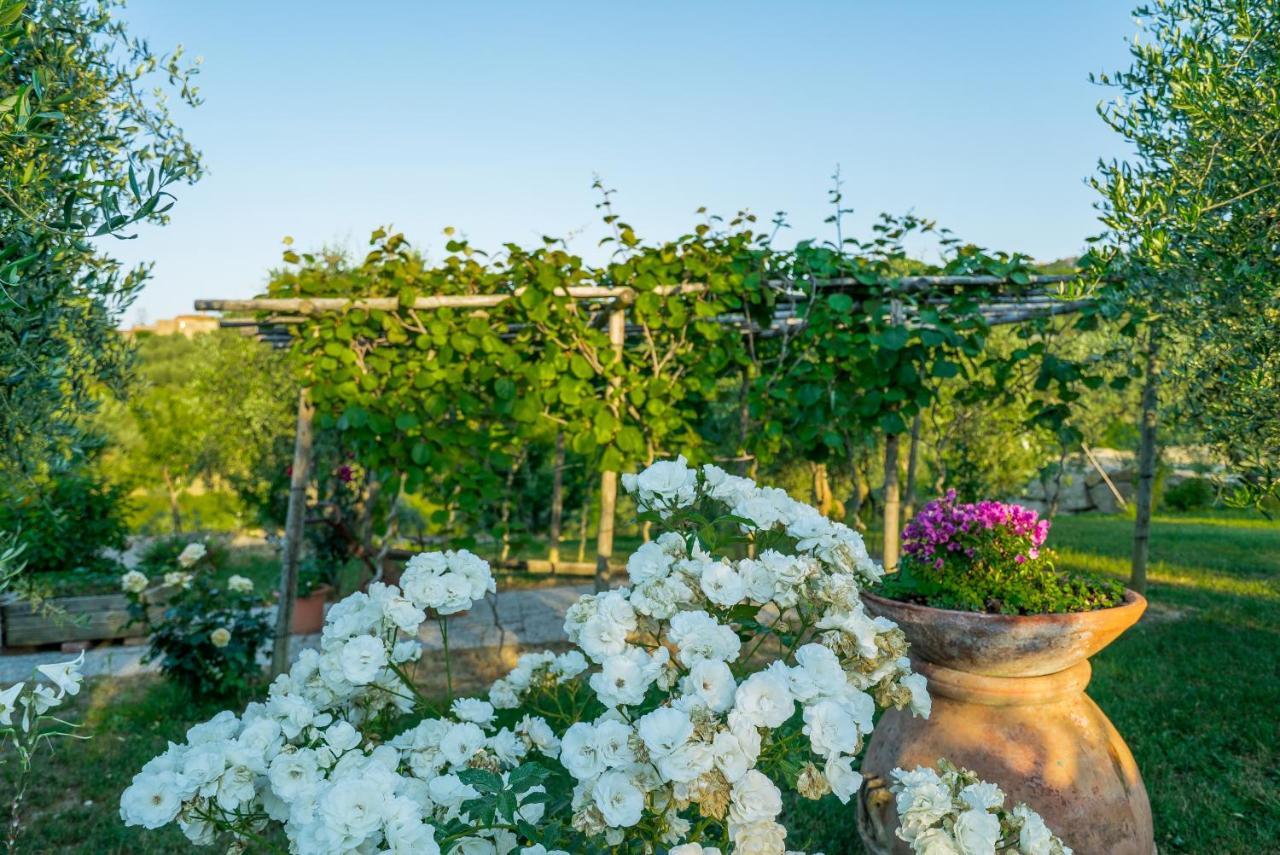 Agriturismo I Colli 몬타이오네 외부 사진