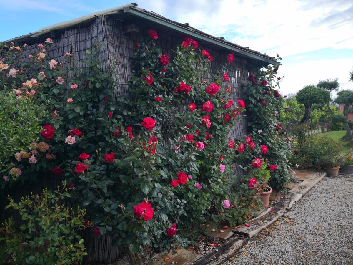 Agriturismo I Colli 몬타이오네 외부 사진