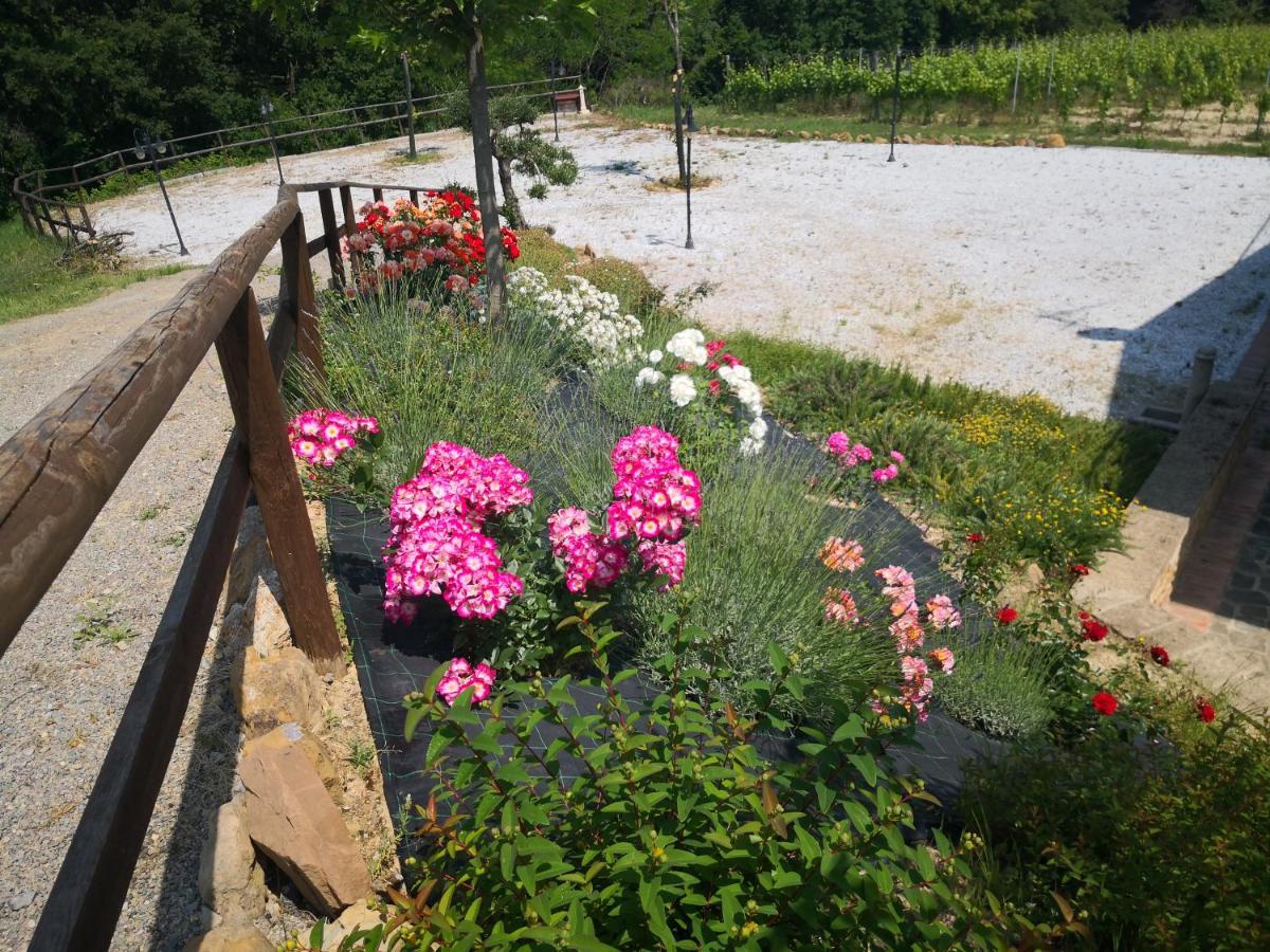 Agriturismo I Colli 몬타이오네 외부 사진