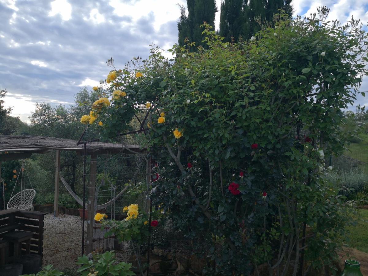 Agriturismo I Colli 몬타이오네 외부 사진