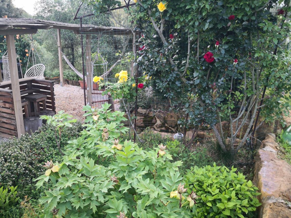Agriturismo I Colli 몬타이오네 외부 사진